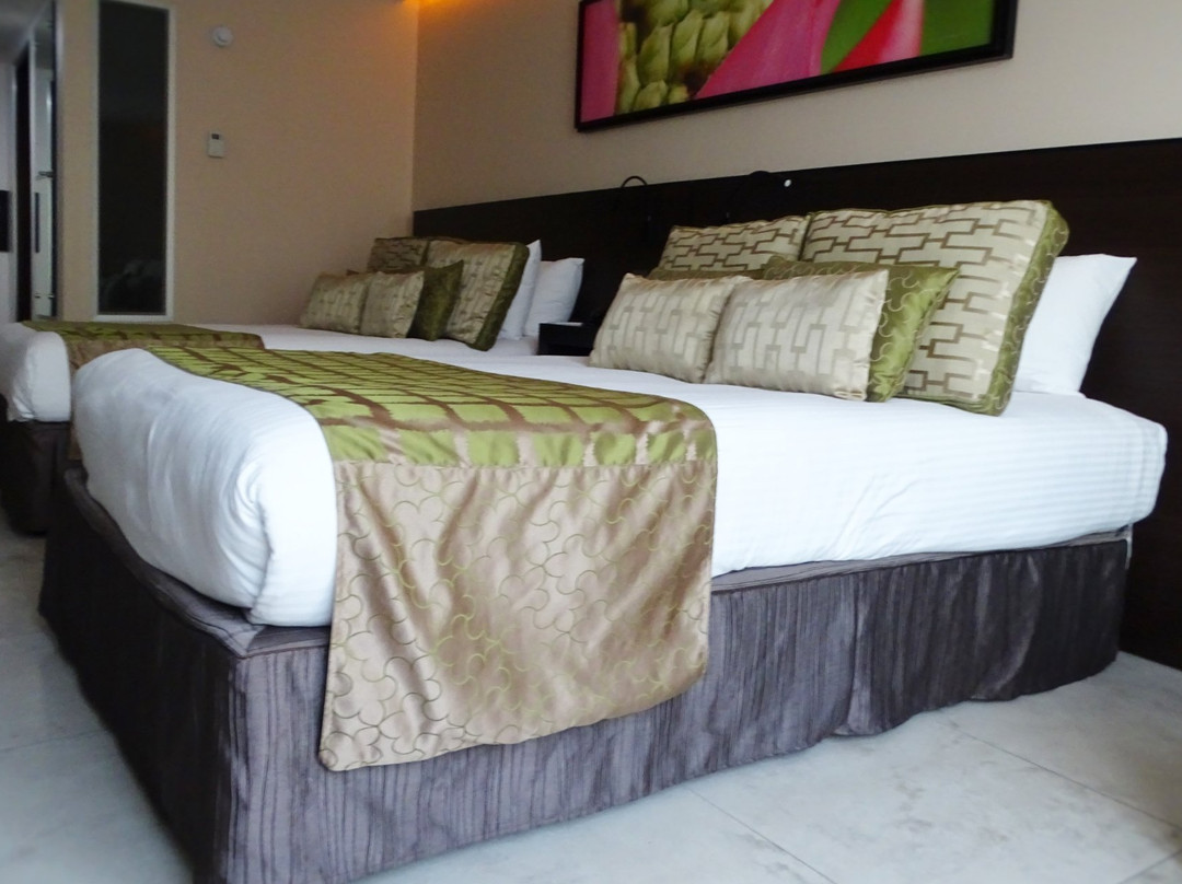 Studio Hotel Boutique主图