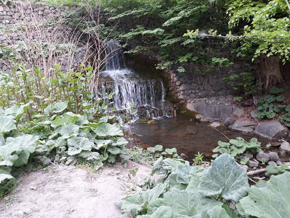 Moesgard Forrest