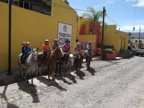 Antiguos Lavaderos-特基拉必去景点