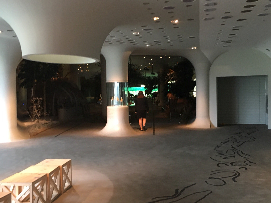 Jeongok Prehistory Museum-涟川郡必去景点