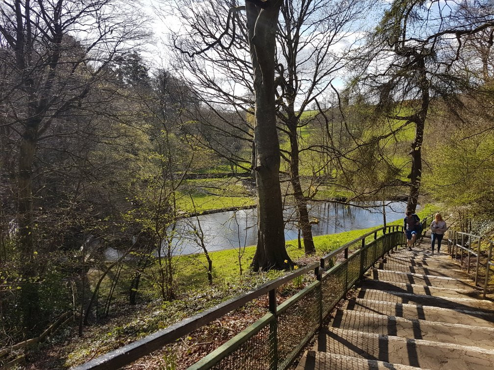 St. Patrick's Well