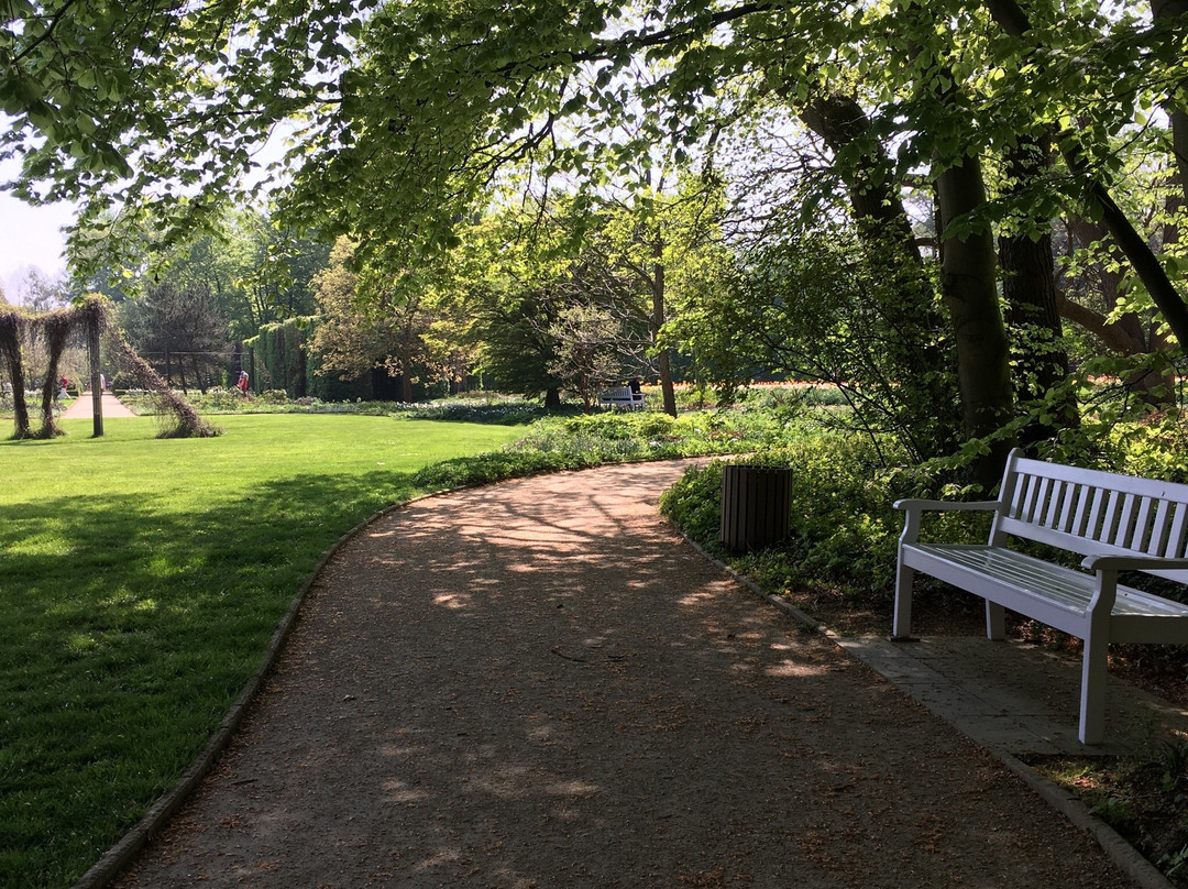 Botanischer Garten景点图片