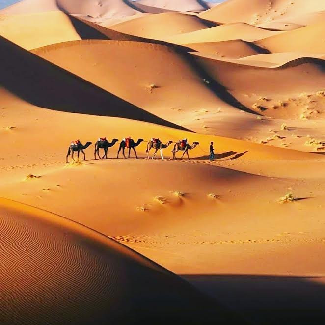 Sahara Holiday Tours-卡萨布兰卡必去景点