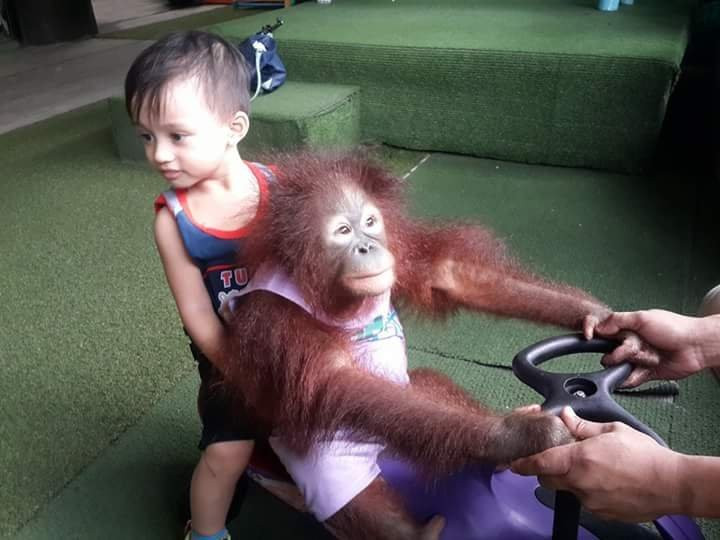 Ark Avilon Zoo-巴石必去景点