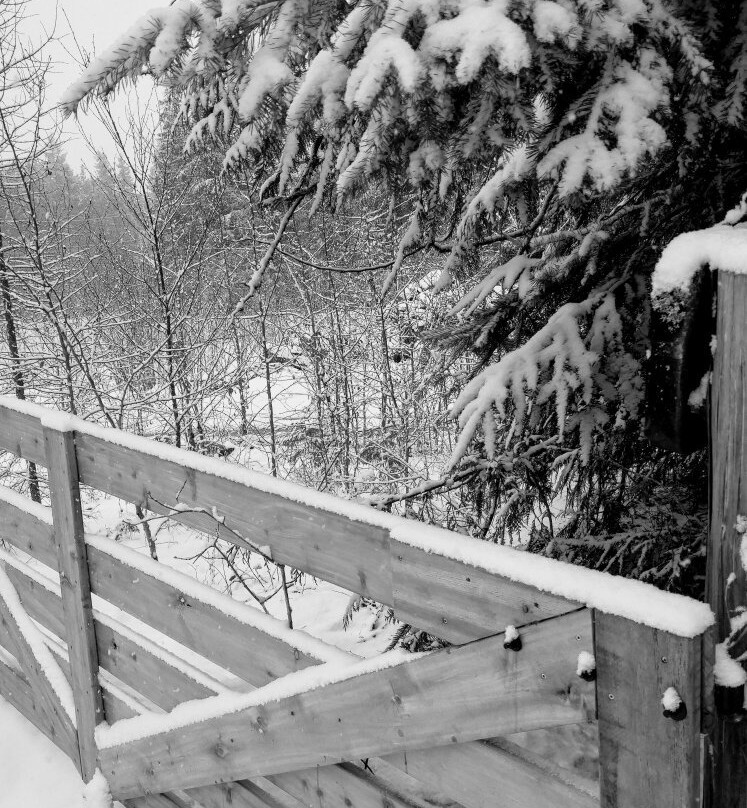 Bieri's Paradise Guest Farm主图