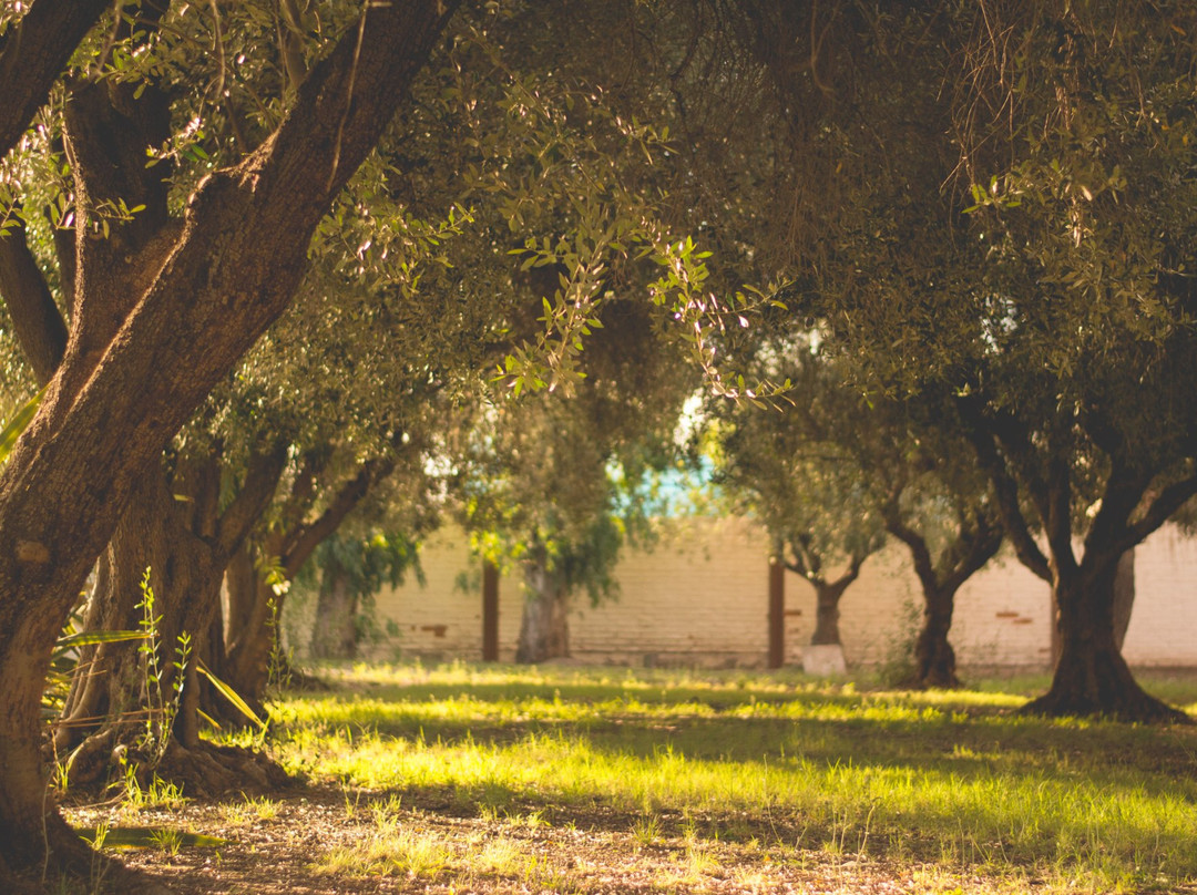 Bodega y Viñedos Garbin-圣拉斐尔必去景点