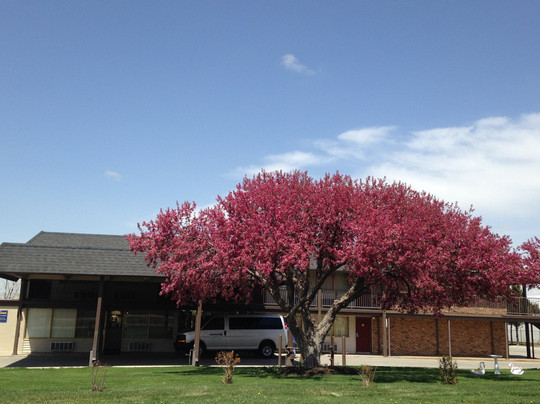 Home-Towne Lodge Omaha主图