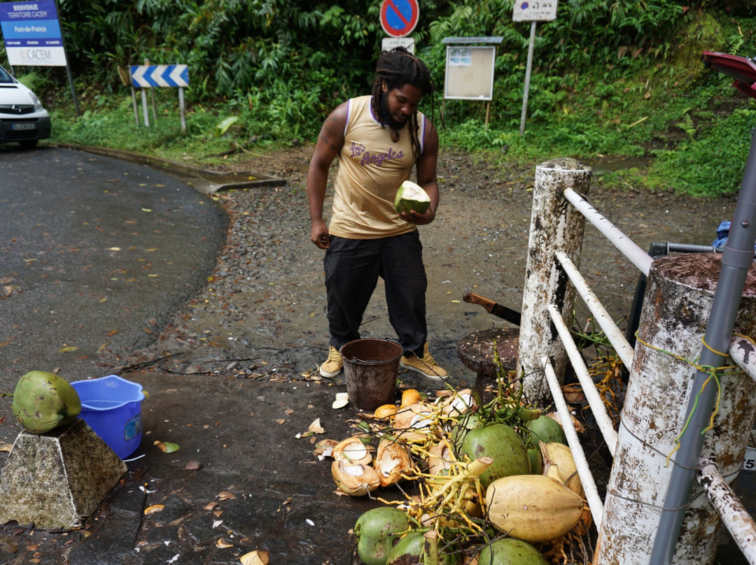 Norden Vincent's Martinique TOUR景点图片