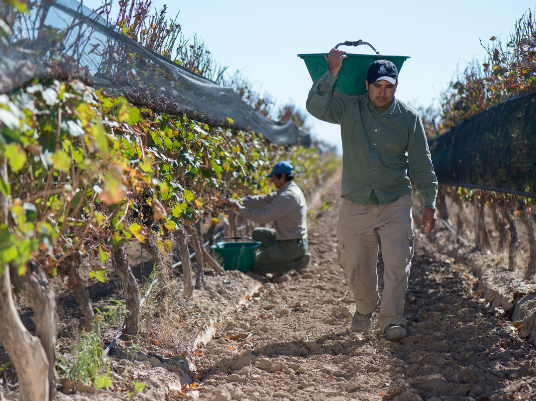 Bodega Familia Blanco-Ugarteche必去景点