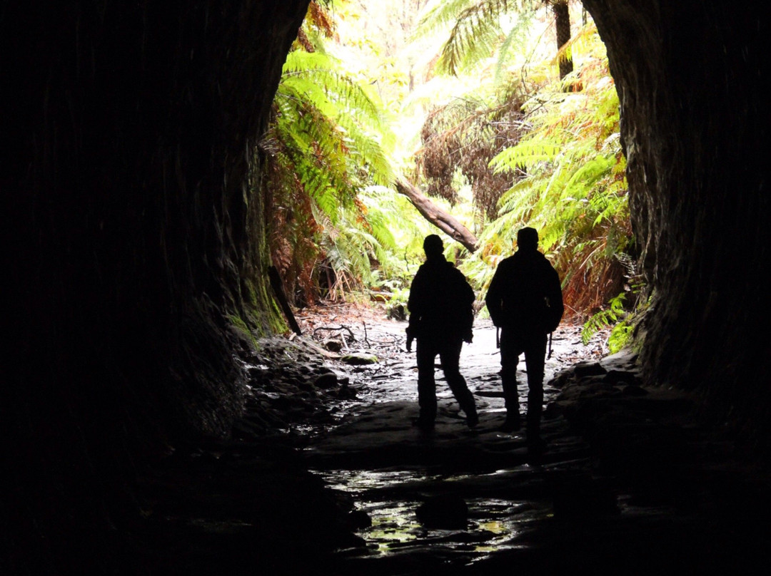 Wolgan Valley Eco Tours-Wolgan Valley必去景点