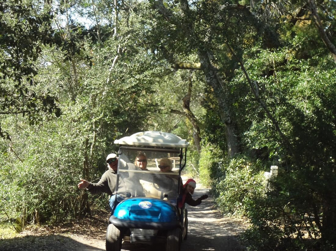 Wheelie Fun Golf Carts景点图片
