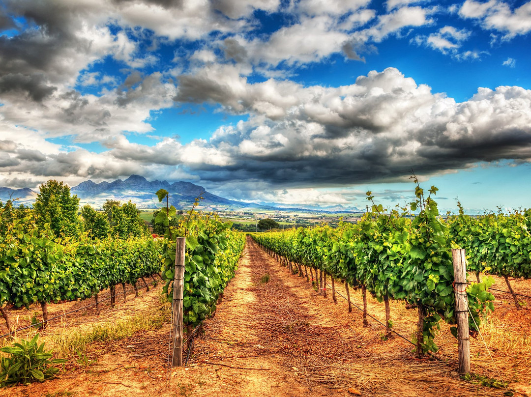 L'Epicure-开普敦中心区必去景点