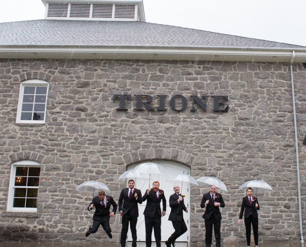 Trione Vineyards and Winery-Geyserville必去景点
