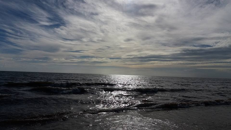 Pousada dos Guarás主图