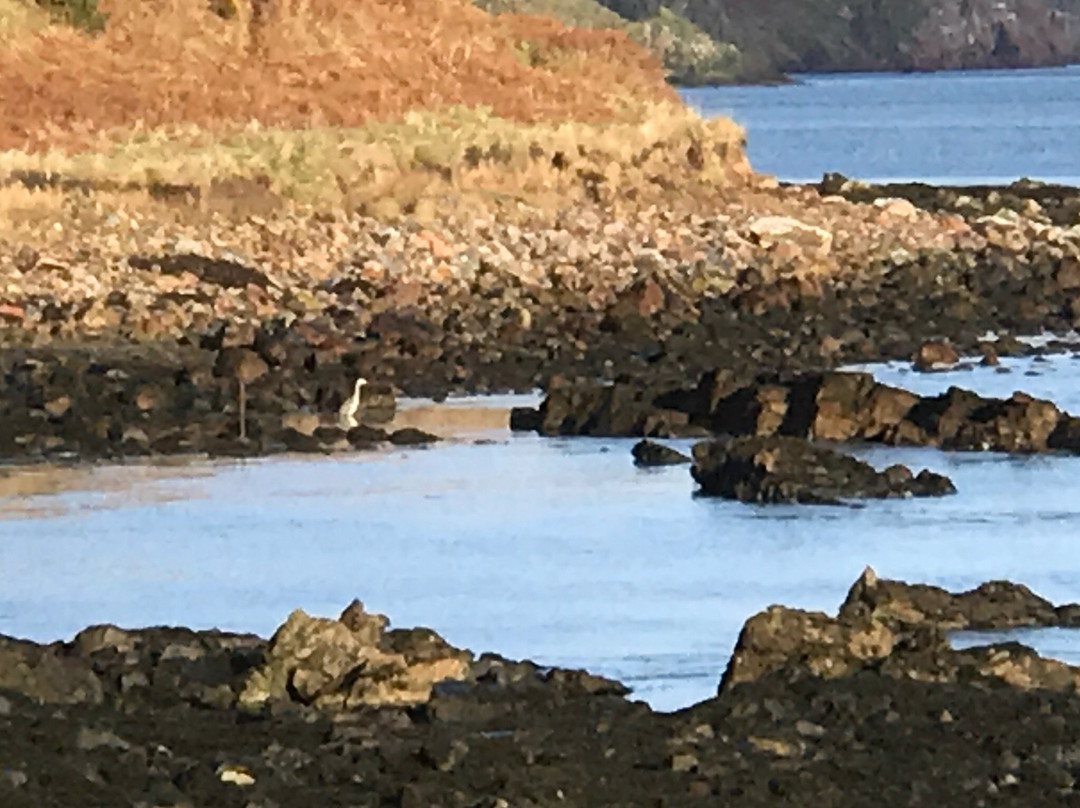 Helmsdale Beach-Helmsdale必去景点