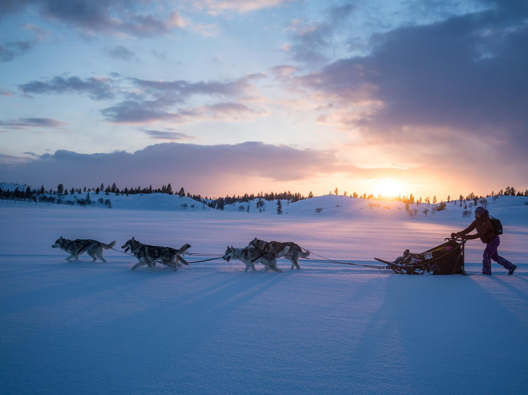 Husky & Yoga Nature-罗瓦涅米必去景点