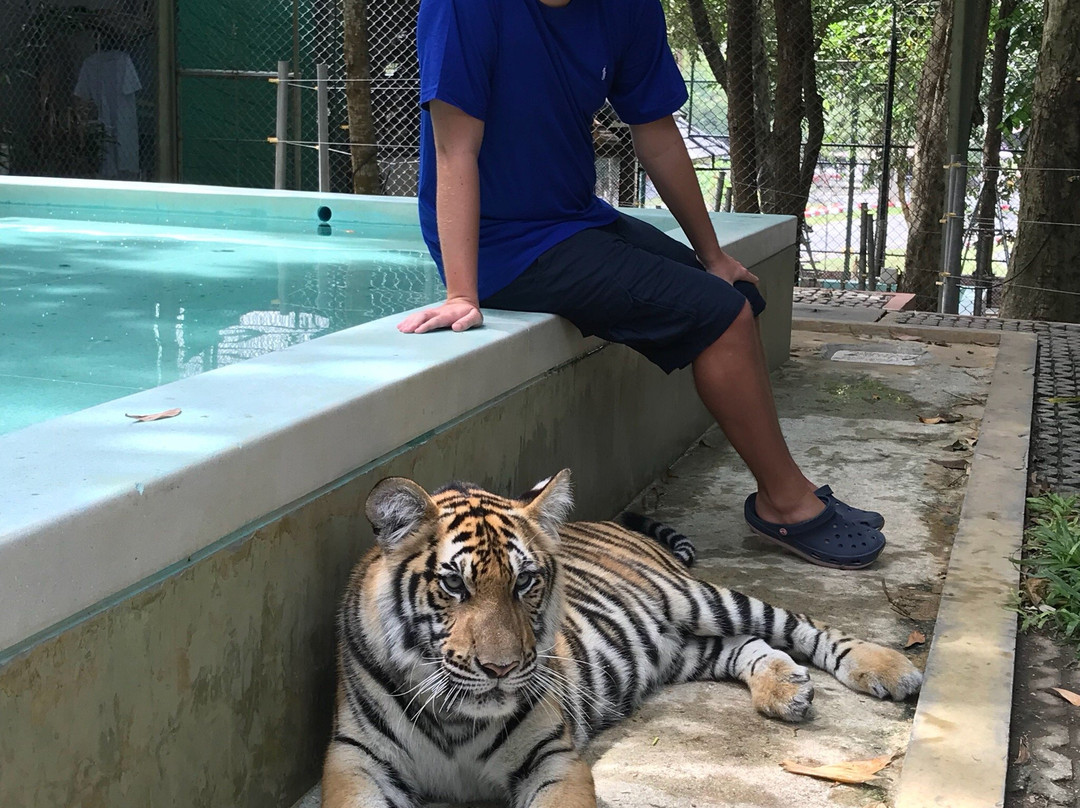 Tiger Kingdom Phuket景点图片