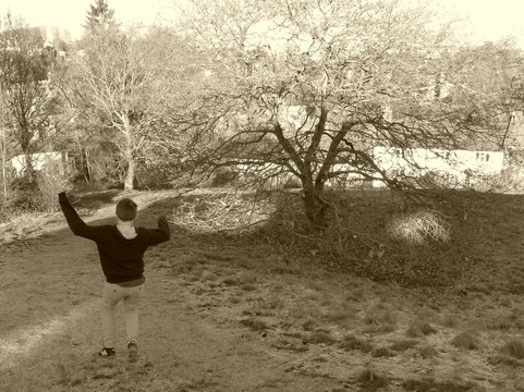 St Catherine's Hill-Shalford必去景点