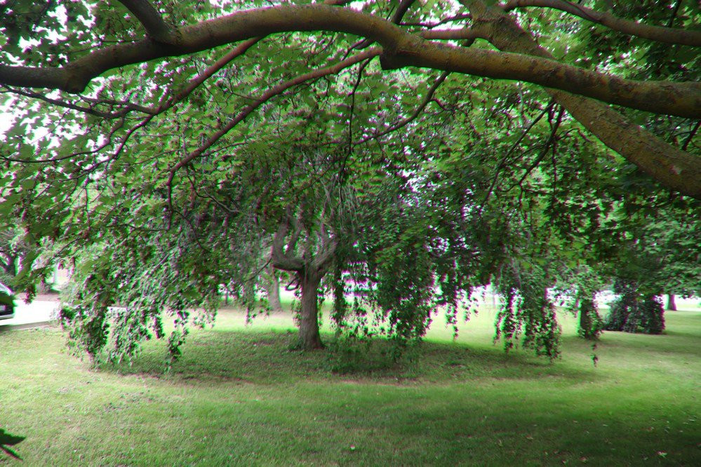 Lester B Pearson Park-圣凯瑟琳斯必去景点