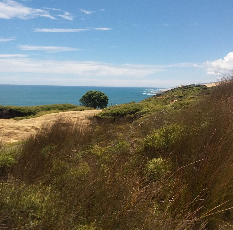 Waimamaku Coastal Track-Opononi必去景点