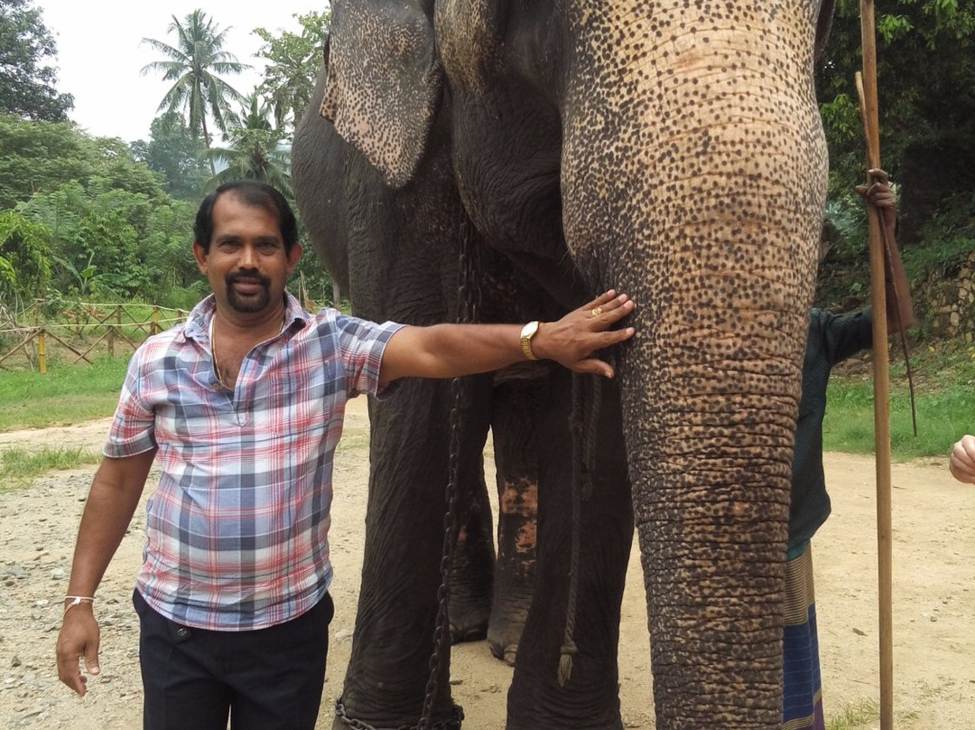 Athulasiri Tours-瓦都瓦必去景点