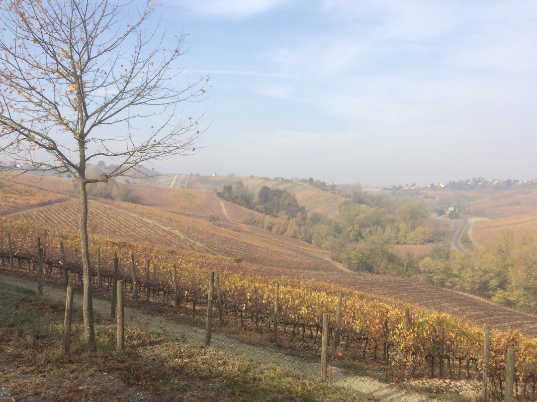 Milan Day Trips-米兰必去景点