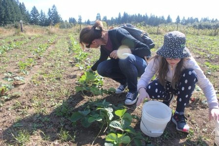 Smith Berry Barn-希尔斯伯勒必去景点