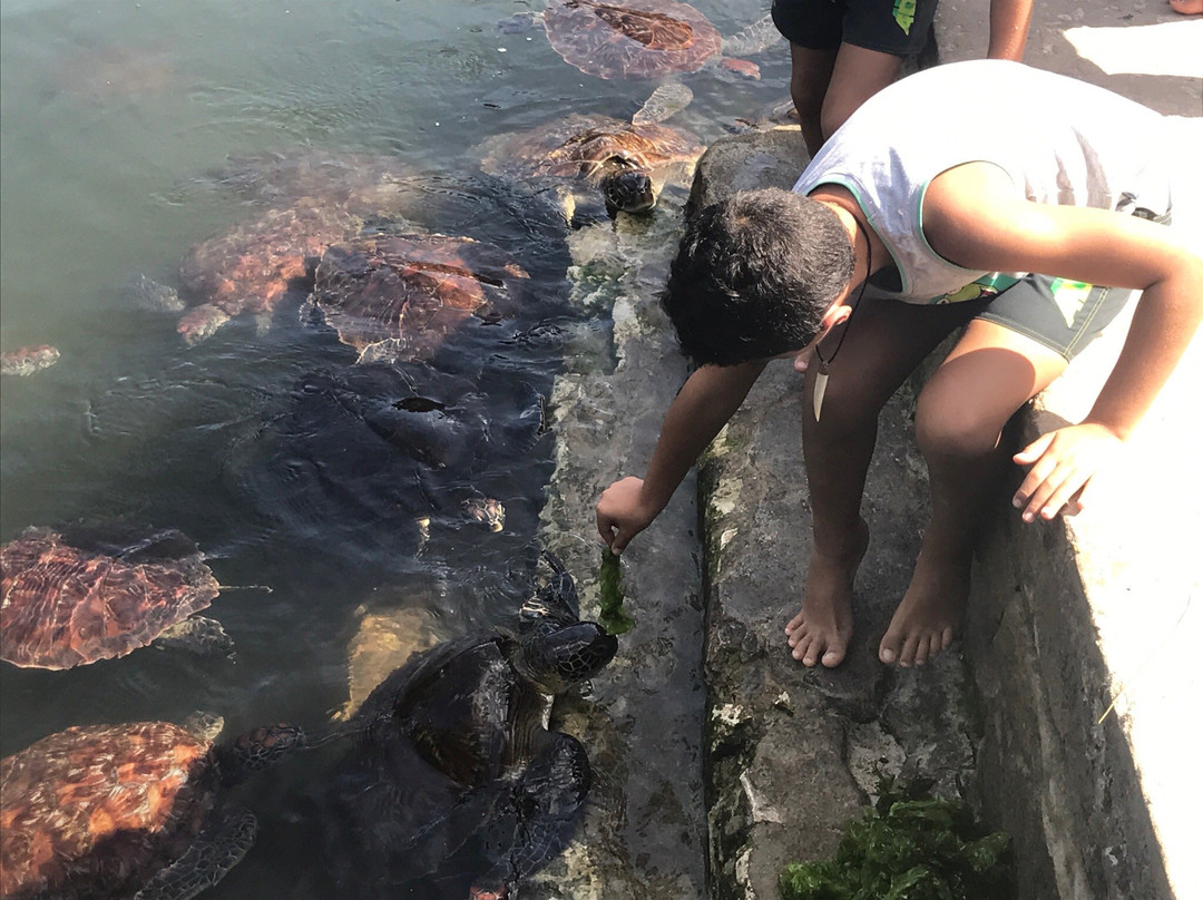 Zanzibar Tours-孥归必去景点