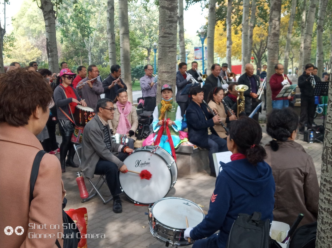 龙湖公园-邯郸市必去景点