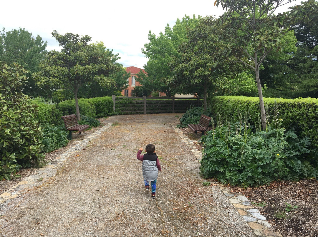 Kennels Lane Playground景点图片