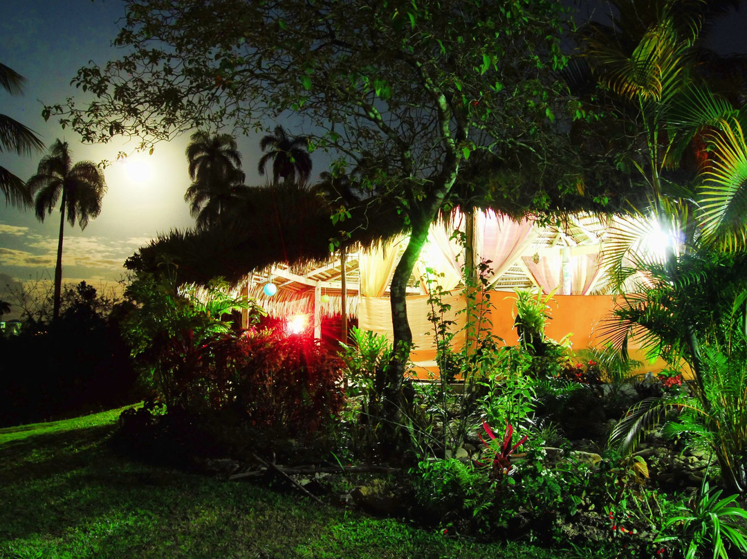 Los Brazos餐馆和美食-Blue Moon