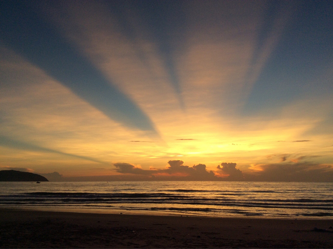 RIDS Surf Club景点图片