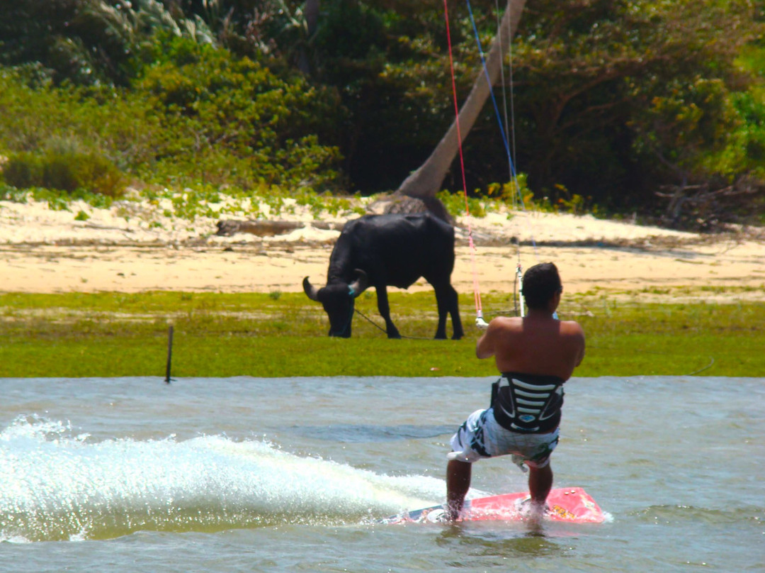 Vigia酒店住宿-Pousada dos Guarás
