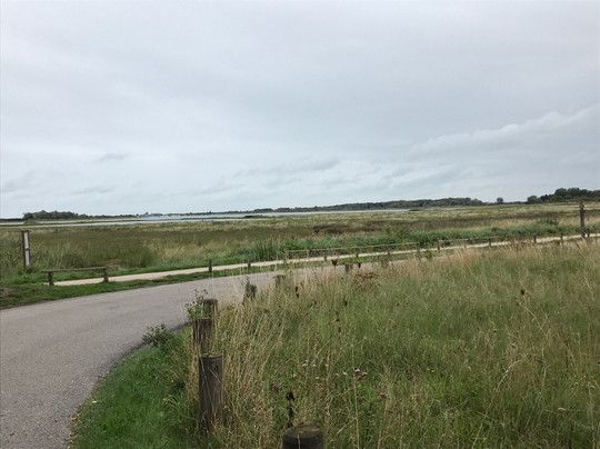 Maison de la Nature et de L'Estuaire-Sallenelles必去景点