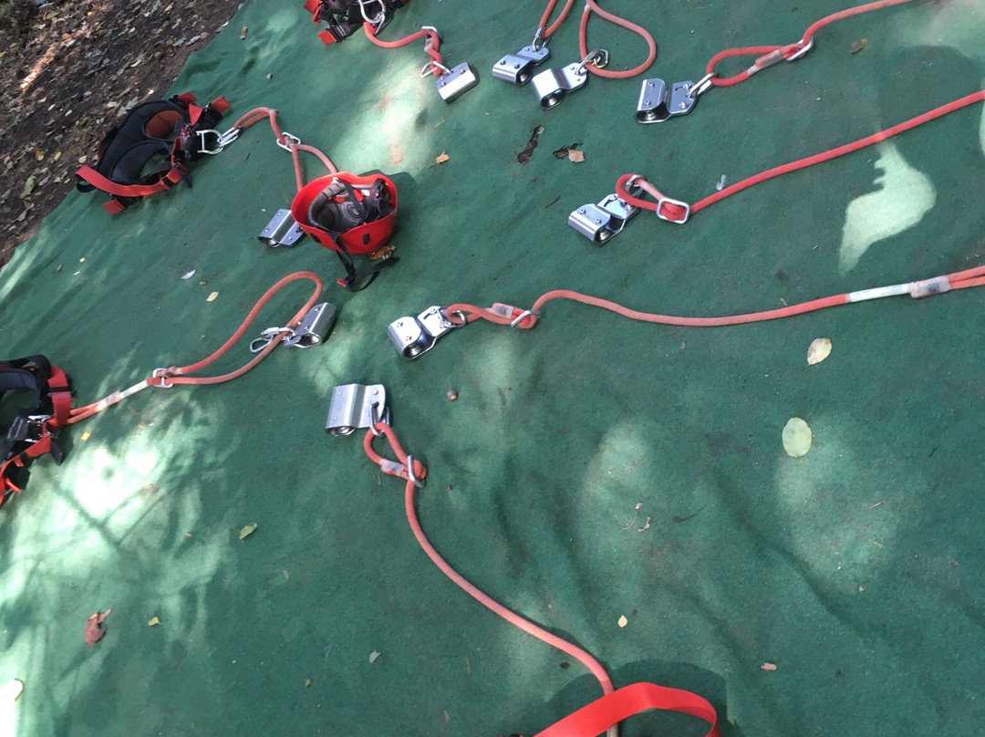 Schnurstracks Kletterpark Rietberg景点图片