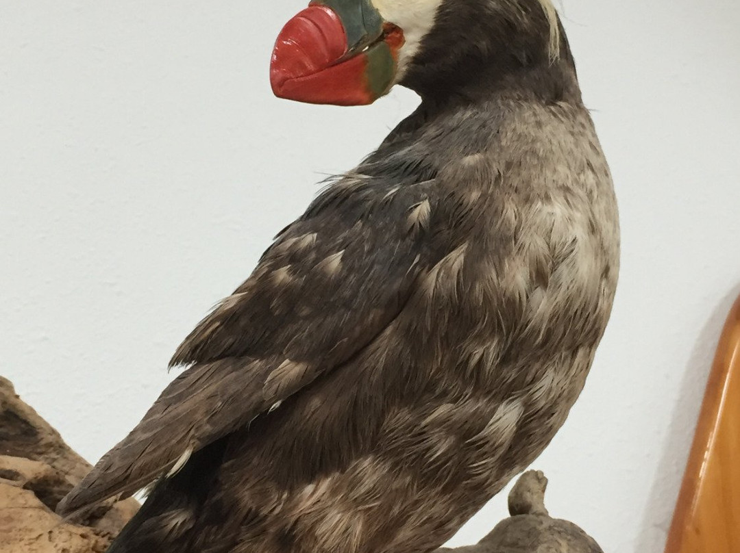 Port Clements Museum-Port Clements必去景点