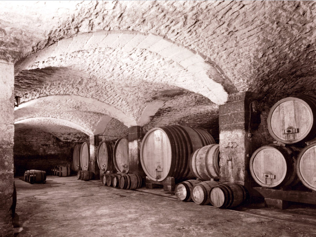 Chateau Saint Esteve-Uchaux必去景点