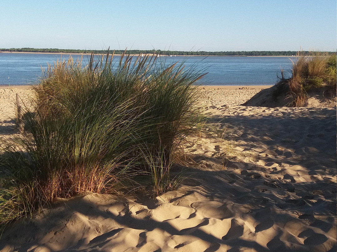 Plage de l'Embellie景点图片