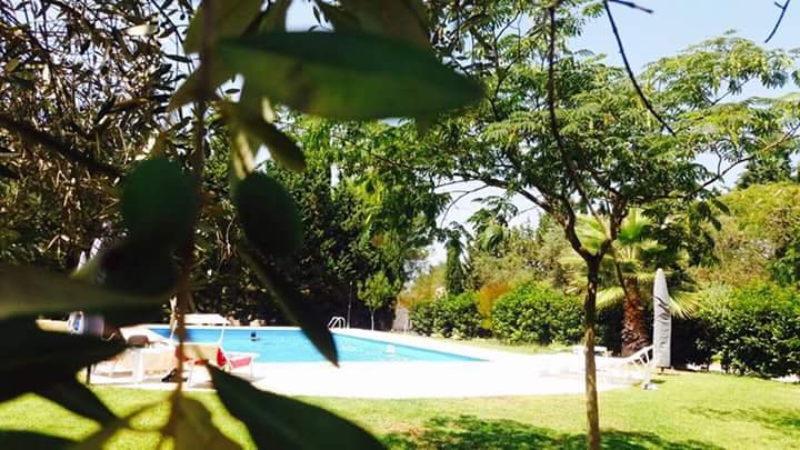 Tenuta Patolicchie-官方