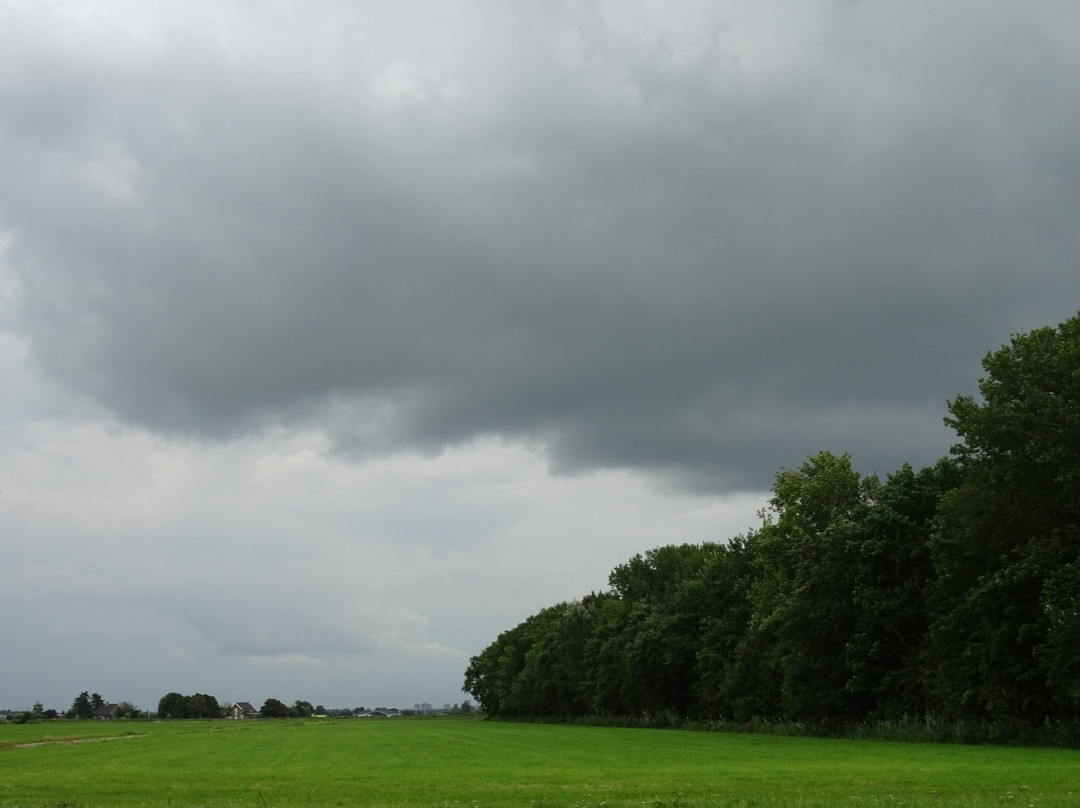 Wassenaar, Zuid-Holland-Wassenaar必去景点