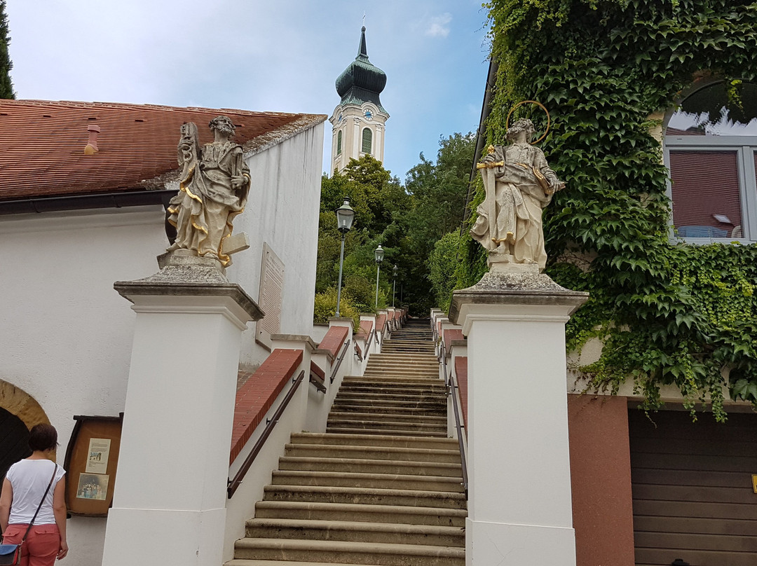 Stadtpfarrkirche - Kath. Pfarrkirche hl. Martin景点图片