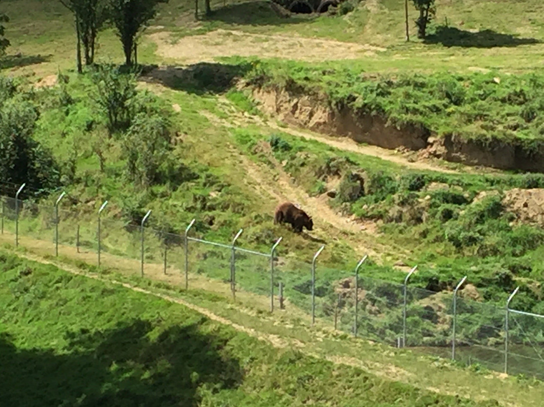 Wild- und Freizeitpark Westerwald景点图片