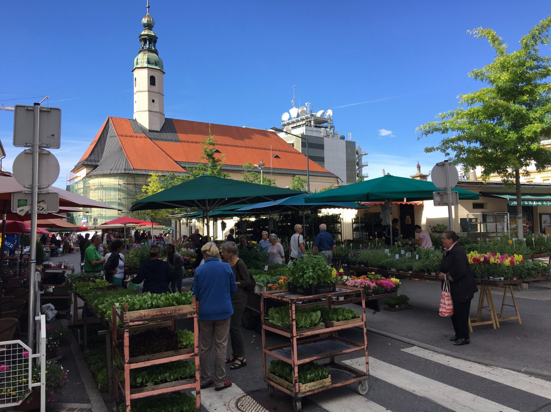 Benediktinermarkt景点图片