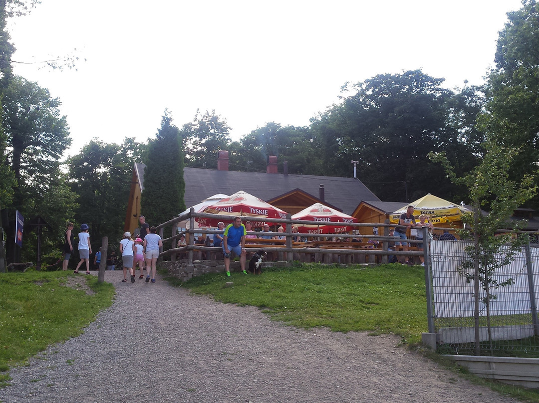 Debowiec Ski景点图片