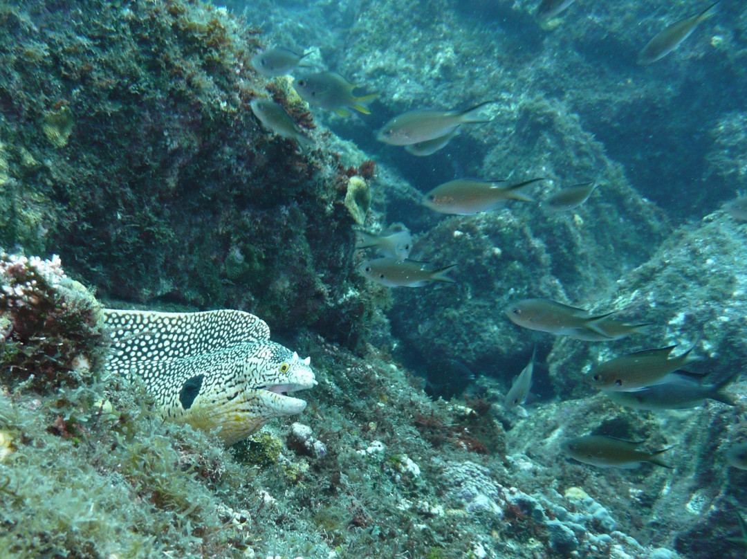 Santo Antao Scuba Diving-Santo Antao必去景点