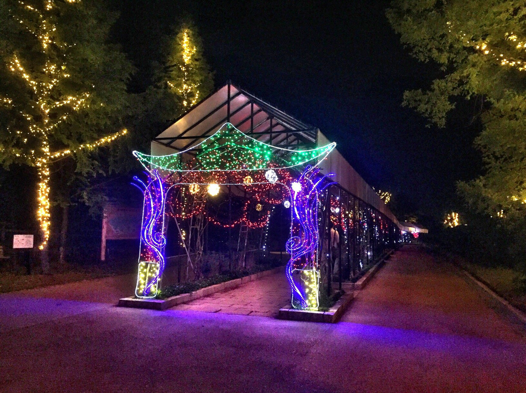 Michi-no-Eki Tangooukoku Shokunomiyako-京丹后市必去景点