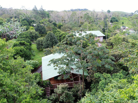 Upala酒店住宿-Finca Amistad Cacao Lodge