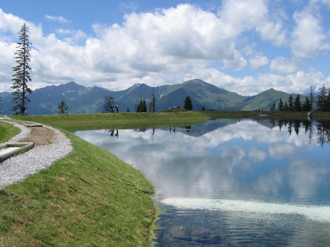 Barfussweg am Spiegelsee Fulseck景点图片