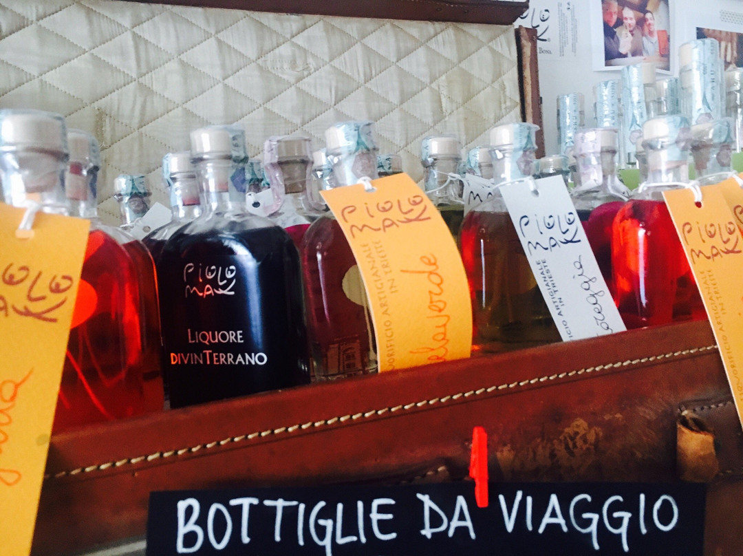 La Piccola Bottega Spiritosa di Piolo&Max景点图片