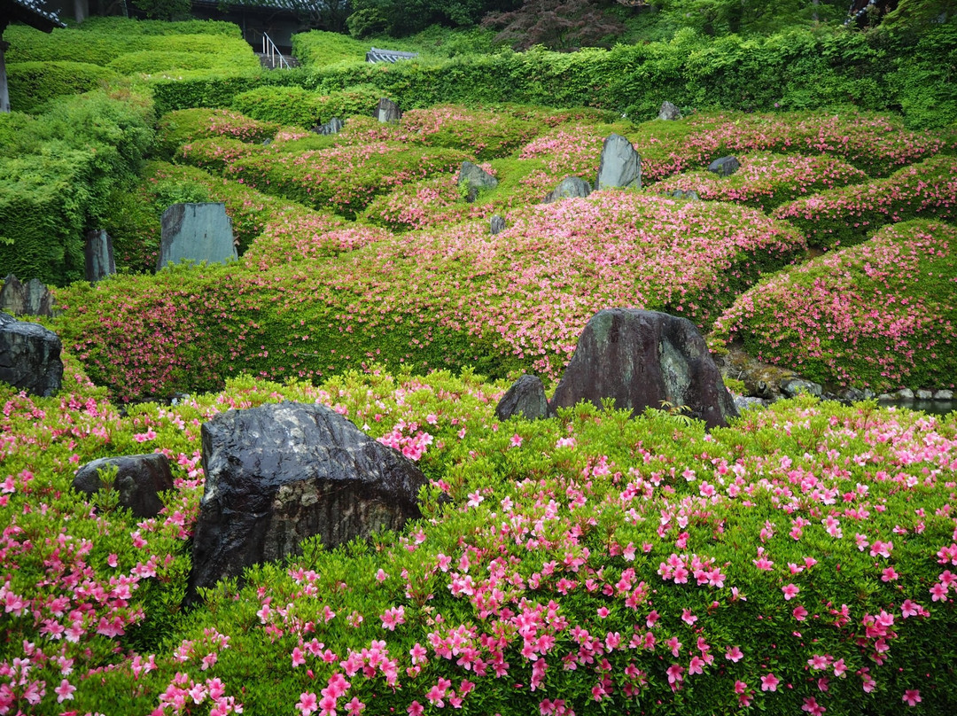 Rinshoji Temple-泉南市必去景点